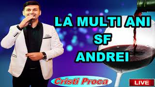 Cristi Proca  La multi ani ANDREI [upl. by Aicat]