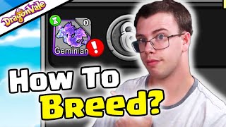 How To Breed Geminian Dragon Dragonvale [upl. by Ahsieker656]