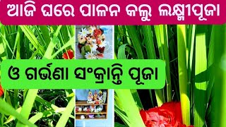 ଆଜି ଘରେ ପାଳନ କଲୁ ଗଜଲକ୍ଷ୍ମୀ ପୂଜା ଓ ଗର୍ଭଣା ସଂକ୍ରାନ୍ତି ପୂଜା  Aji Ghare Gajalakshmi o Garvana sankranti [upl. by Imuy]