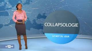 Reportage collapsologie  28032019 [upl. by Eenar]