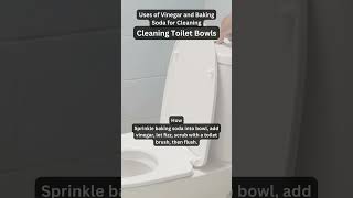 Naturally Clean Your Toilet Bowl with Baking Soda and Vinegar [upl. by Einwahs522]