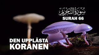 Uppläst Koran på arabiska amp svenska kapitel 66 atTahrim förbudet koranenpåsvenska ahmadKalbouneh [upl. by Faludi172]