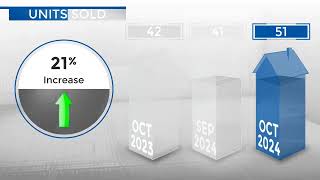 EnglewoodCO Real Estate Market Update from REMAX AllianceNovember 2024 [upl. by Millian]