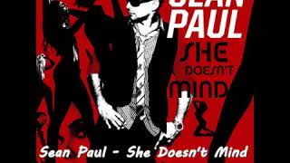 Dj Hakan Keleş Ft Sean Paul  She Doesnt Mind [upl. by Maggs770]