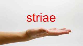 How to Pronounce striae  American English [upl. by Berlin]