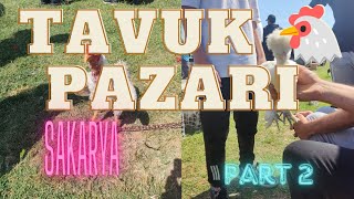 02062024 SAKARYA canlı tavuk 🐔 pazarı part 2 [upl. by Nas]