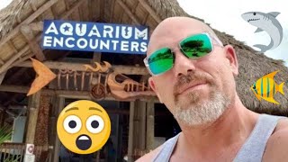 Florida Keys Stop at Aquarium Encounters FSD VLOG [upl. by Zulch]