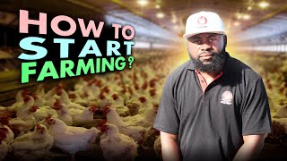 Broiler Chicken Farming Profits in South Africa । Broiler farm cost breakdown । Chicken farming tips [upl. by Orson]