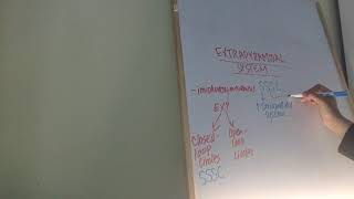 Extrapyramidal Tracts Neuroanatomy Anatomy MNEMONIC [upl. by Seavir355]