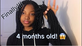 4 months old box braids take down  growth  removing buildups [upl. by Kurth]