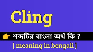 Cling Meaning in Bengali  Cling শব্দটির বাংলা অর্থ কি  Bengali Meaning Of Cling [upl. by Ilahsiav]