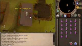 Runescape 140 Agility Guide [upl. by Kelby]