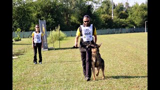 BH TEST 2018 GIUDICE CODEMO STEFANO  SezA 6060 punti Stefano Bonaldo con HMM quotCHEWBACCAquot [upl. by Ailedamla]