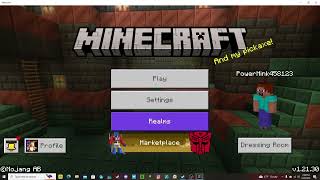 MY GAME STARTED FREEZING  Minecraft Part 9 [upl. by Nerte]