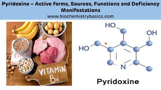 Pyridoxine Biochemistry  Vitamin B6 Biochemistry  Pyridoxal Phosphate PLP [upl. by Ahsitruc]