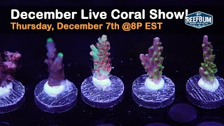 ReefBums December 2023 Live Coral Sale [upl. by Galen]