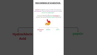 Life Processes Class 10 Biology [upl. by Hpejsoj]