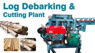 Log Debarking amp Cutting Plant  Wood Debarker  Log Sections Cutting Machine WoodDebarkerMachine [upl. by Irtak]