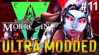 Lets Play Modded Morrowind  The Adventures Of Qa Dojetta  11 [upl. by Ellga66]