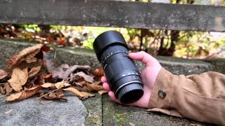 Tamron 70300mm f456 LD macro for Canon Review [upl. by Nyrrad14]