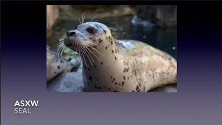 Seal Kelp and Swimming Terms In Squamish Language [upl. by Delphine]