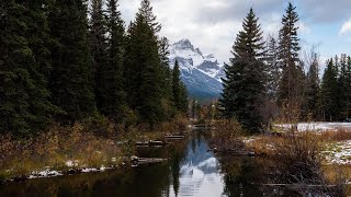 What to Do in Canmore Alberta  Travel Shorts [upl. by Sirac582]