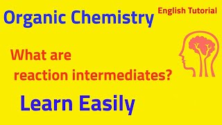 Organic ChemistryWhat are reaction intermediatesEnglish Tutorial [upl. by Oinotla765]