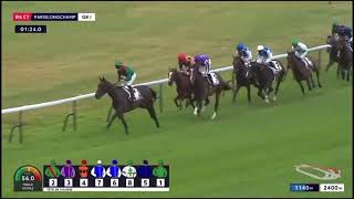 🇫🇷 Longchamp「ロンシャン」競馬牡馬クラシック最終戦 G1パリ大賞 [upl. by Ardnasirhc]