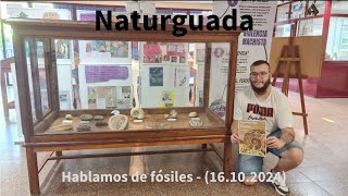 Un dientes de sable y otros fósiles de Guadalajara en el estudio  Naturguada [upl. by Buller]