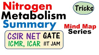 Nitrogen metabolism biochemistry for csir net [upl. by Bert104]