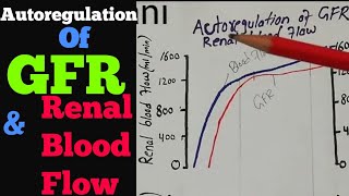 Autoregulation of GFR amp Renal Blood Flow  Kidney physiology lecture 73 [upl. by Daisey628]