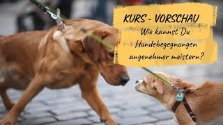 Wie kannst Du Hundebegegnungen angenehmer meistern  KursVorschau [upl. by Aerdnod]