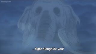 One piece episode 1068 • Zunisha talk to momo • [upl. by Bain]