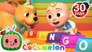 Bingo Was His NameO  MORE Dog Songs CoComelon Nursery Rhymes amp Animal Songs [upl. by Silirama328]