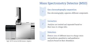 Comparison of Gas Chromatography Detectors and Application in Food Analysis [upl. by Teews]