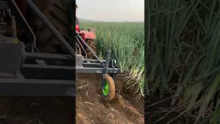 Tractor vs Green Onions The Ultimate Harvest 🚜🌱 agriculture farming satisfying [upl. by Honeyman]