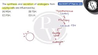 The synthesis and secretion of androgens from Leydig cells are influenced by [upl. by Chandra]