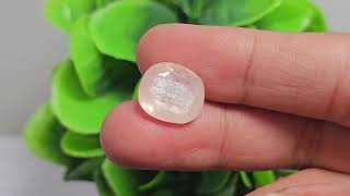 1030 Carats Clam Shell Natural Sapphire SKU AK2611240076 [upl. by Ssew]