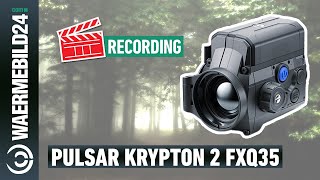 Anblick mit dem PULSAR Krypton 2 FXQ35 WärmebildVorsatzgerät 🔴 [upl. by Whit]