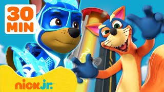 PAW Patrol amp Swiper Villains Marathon w Dora 🦊 30 Minutes  Nick Jr [upl. by Mariam]