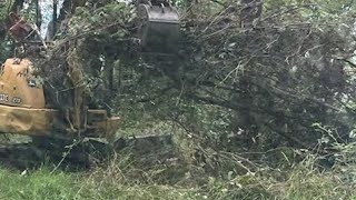 Clearing trails for the horses and seeing a few deer [upl. by Kotta]