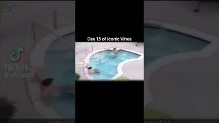 Day 13 of iconic vines 😂👍 vines funny fypage internetmemes jokes fypシ゚viral memem lol best [upl. by Enia]