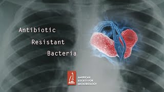 Antibiotic Resistant Bacteria [upl. by Conners]