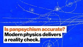 Is panpsychism accurate Modern physics delivers a reality check  Dr Susan Schneider  Big Think [upl. by Cima]