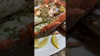 Lobster Homard seafood food foodie [upl. by Moritz]