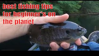 learn how to fish for beginners for fresh water fishing with these few easy tips for multi species [upl. by Olatha507]