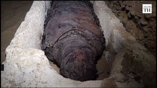 Researchers discover 40 mummies at ancient Egyptian burial site [upl. by Tompkins442]