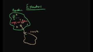 Estimators  the basics [upl. by Lienad]