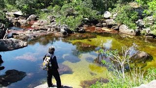 CAÑO CRISTALES LA MACARENA META [upl. by Kellia235]