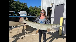 Is This The Baddest Freshwater Fish Alive 64quot Alligator Gar Half Mount Reproduction [upl. by Adamski]